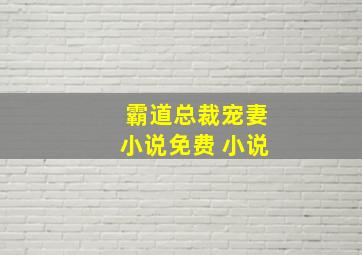 霸道总裁宠妻小说免费 小说